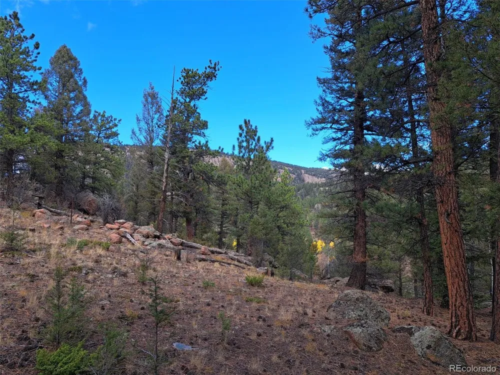 1077 Roland Drive Bailey, CO 80421