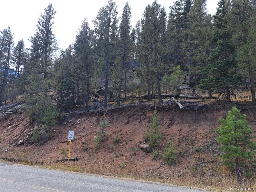 1077 Roland Drive Bailey, CO 80421