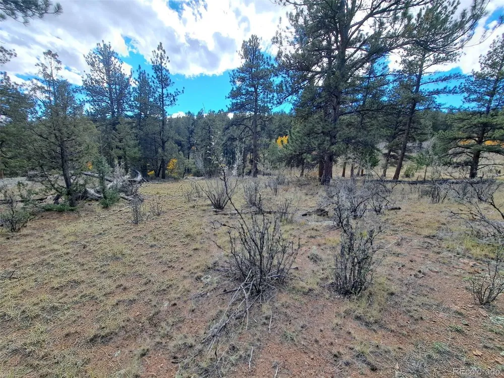 1077 Roland Drive Bailey, CO 80421