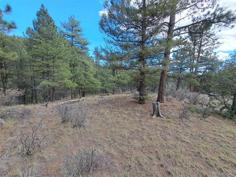 1077 Roland Drive Bailey, CO 80421