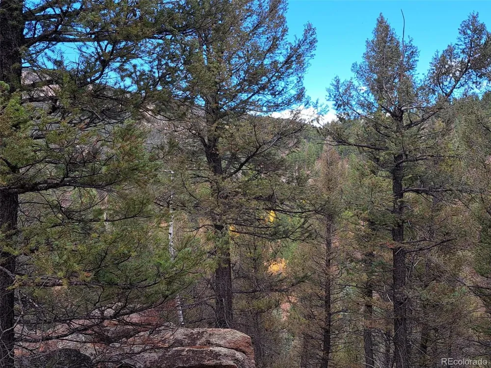 1077 Roland Drive Bailey, CO 80421