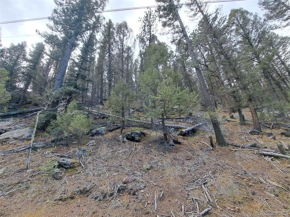 1077 Roland Drive Bailey, CO 80421