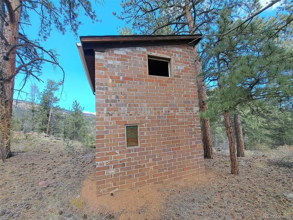 1077 Roland Drive Bailey, CO 80421