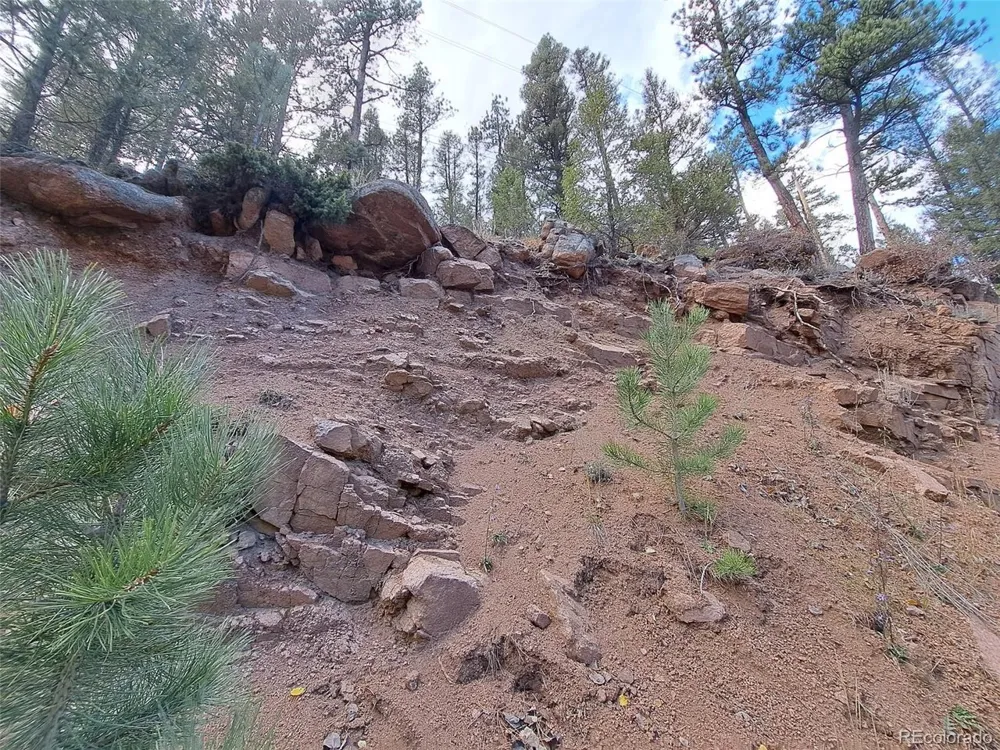 1077 Roland Drive Bailey, CO 80421