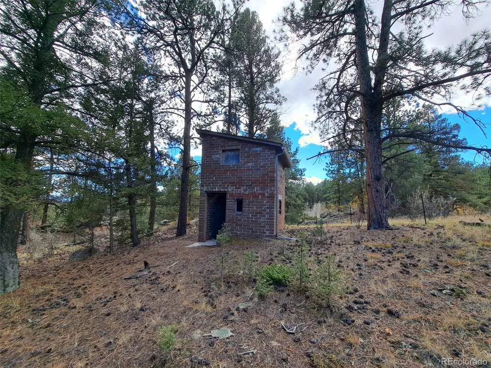 1077 Roland Drive Bailey, CO 80421