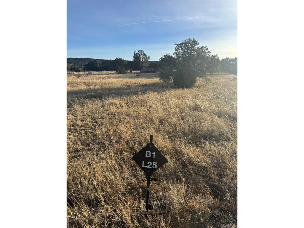 23 Black Diamond Drive Walsenburg, CO 81089