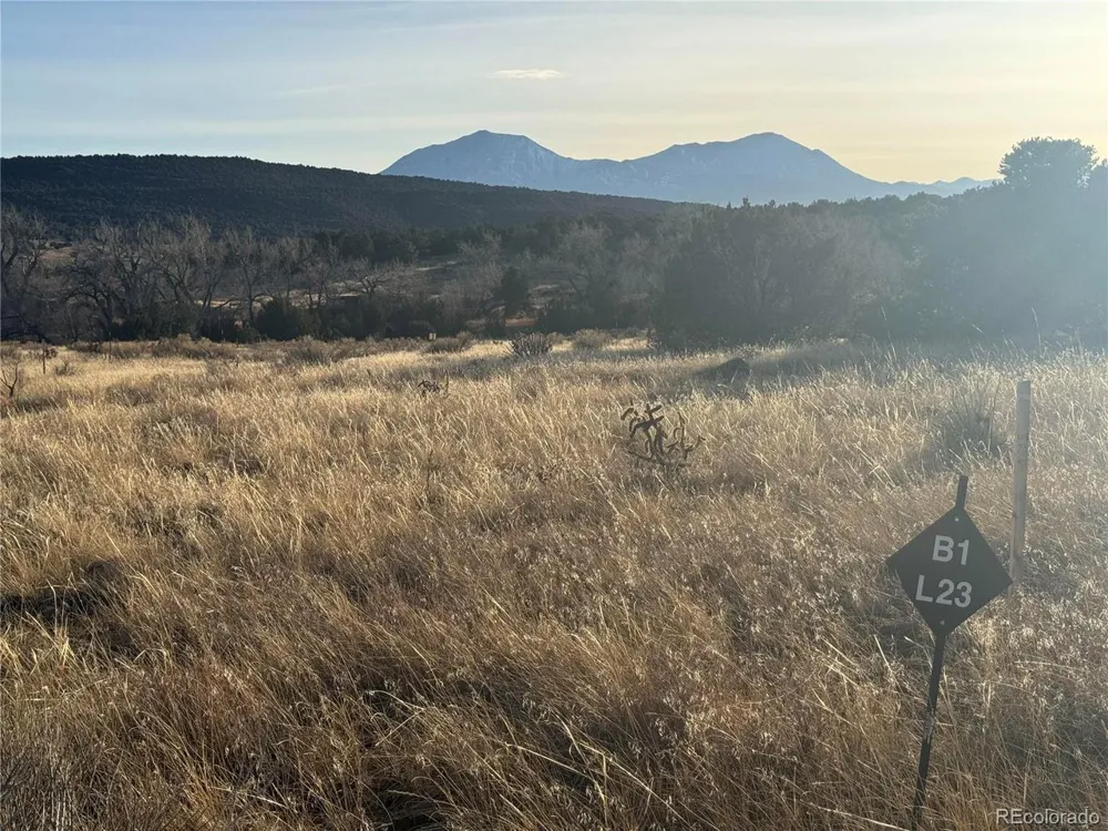 23 Black Diamond Drive Walsenburg, CO 81089