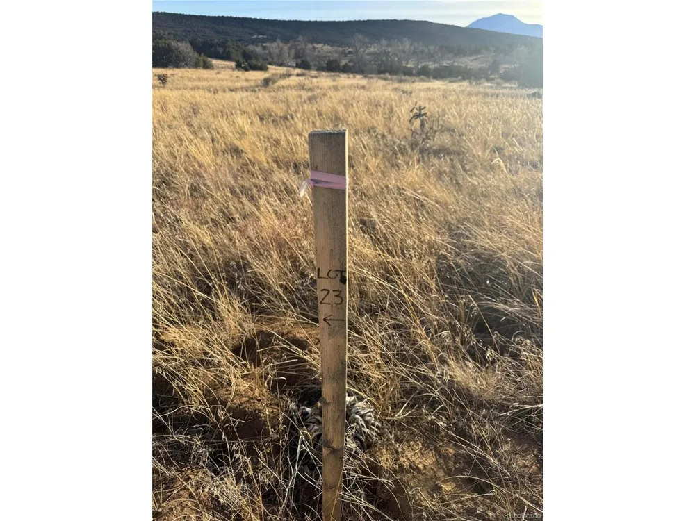 23 Black Diamond Drive Walsenburg, CO 81089