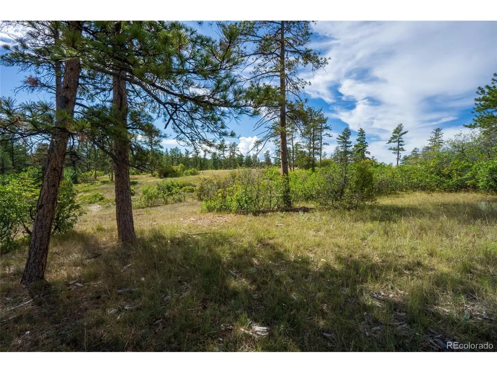 2367 Keep Drive Sedalia, CO 80135