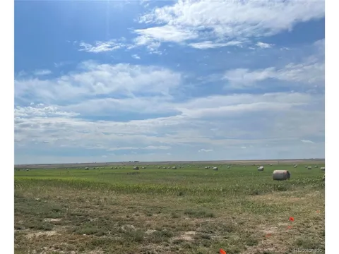23 Coyote Trail