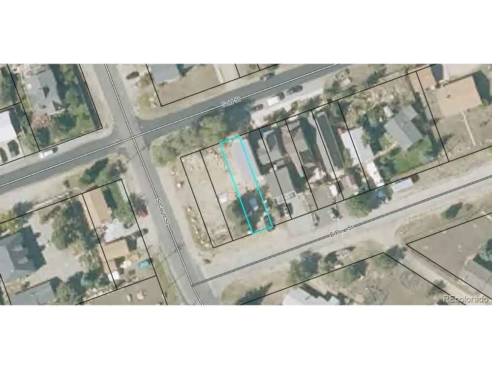 513 Gold Street Buena Vista, CO 81211