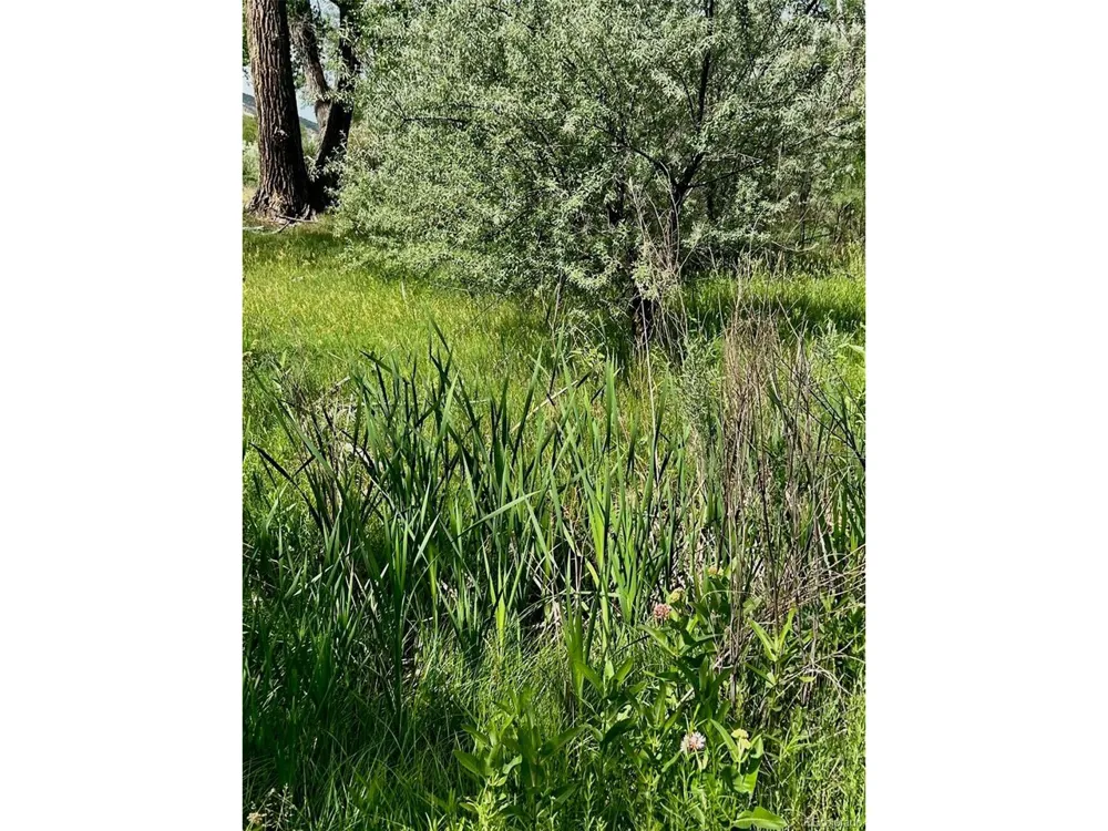1797 County Road 346 Rifle, CO 81650