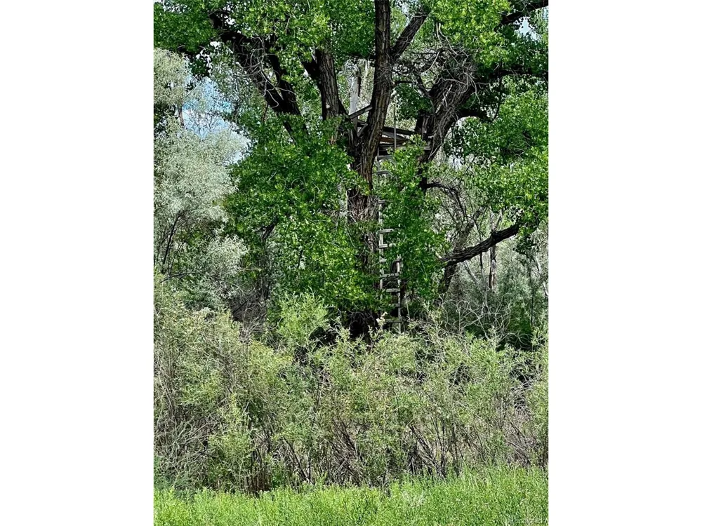 1797 County Road 346 Rifle, CO 81650