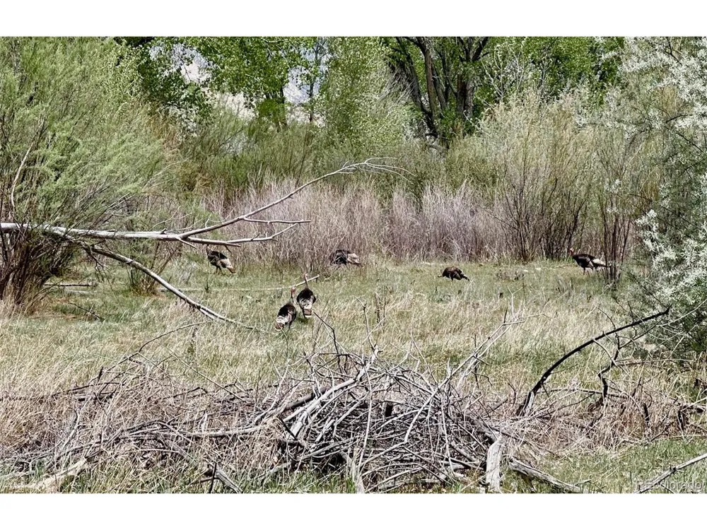 1797 County Road 346 Rifle, CO 81650