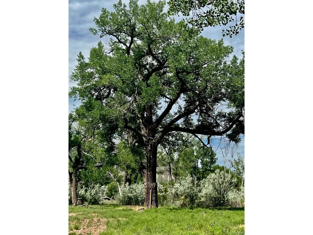 1797 County Road 346 Rifle, CO 81650
