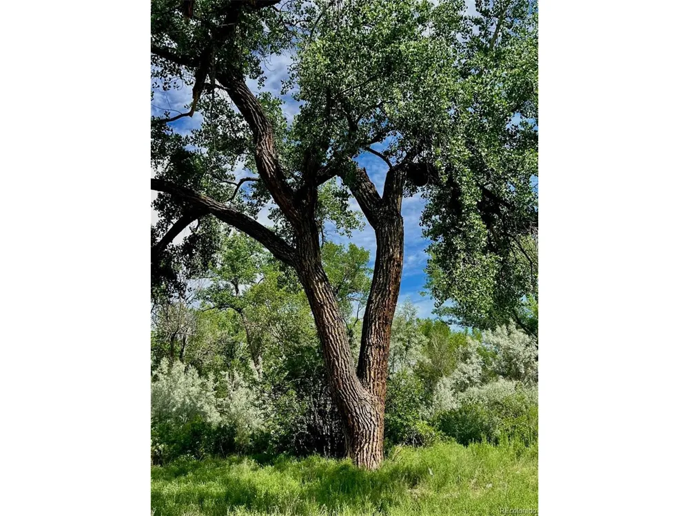 1797 County Road 346 Rifle, CO 81650