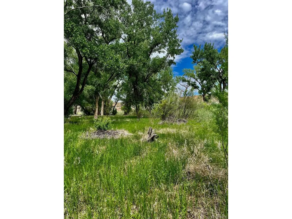 1797 County Road 346 Rifle, CO 81650