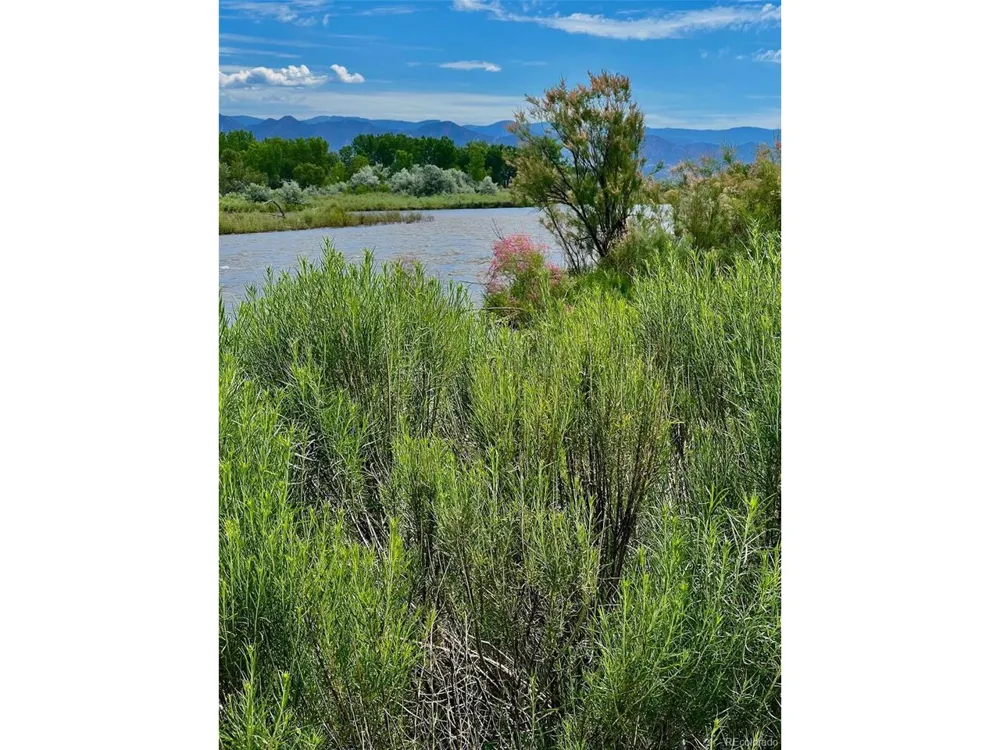 1797 County Road 346 Rifle, CO 81650