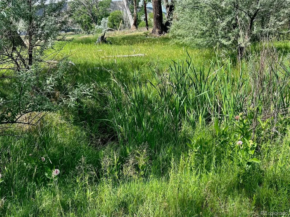 1797 County Road 346 Rifle, CO 81650