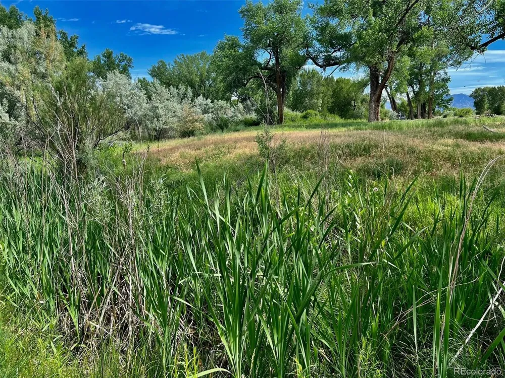 1797 County Road 346 Rifle, CO 81650