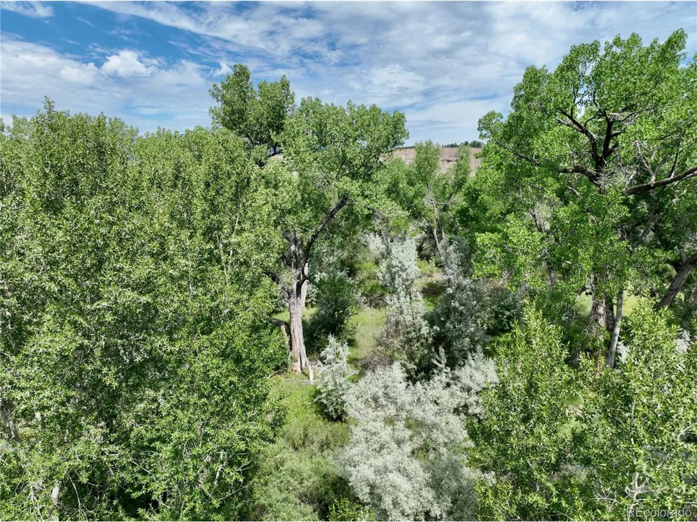 1797 County Road 346 Rifle, CO 81650
