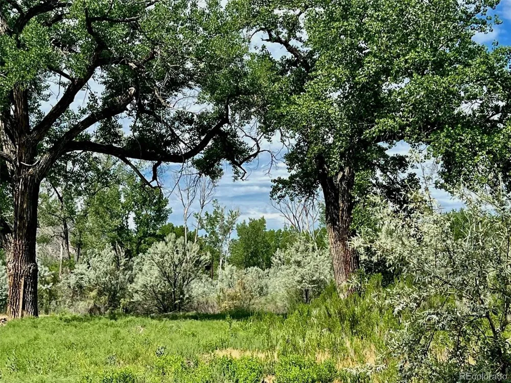 1797 County Road 346 Rifle, CO 81650