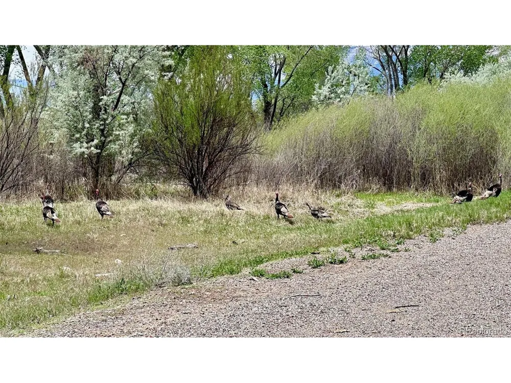 1797 County Road 346 Rifle, CO 81650