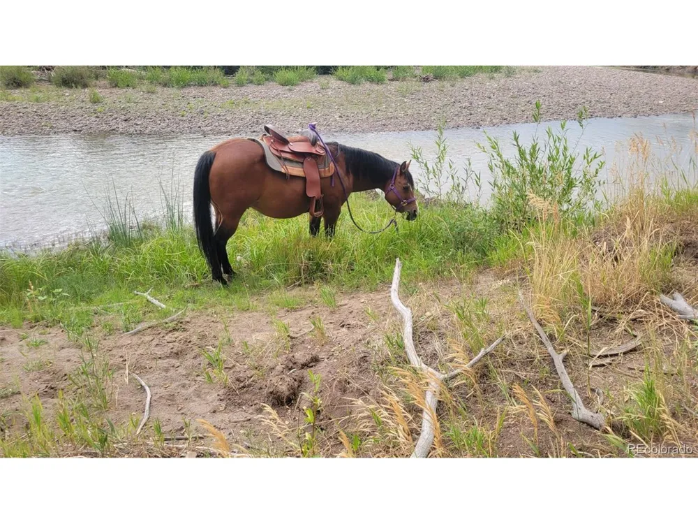 12753 13.5 Antonito, CO 81120