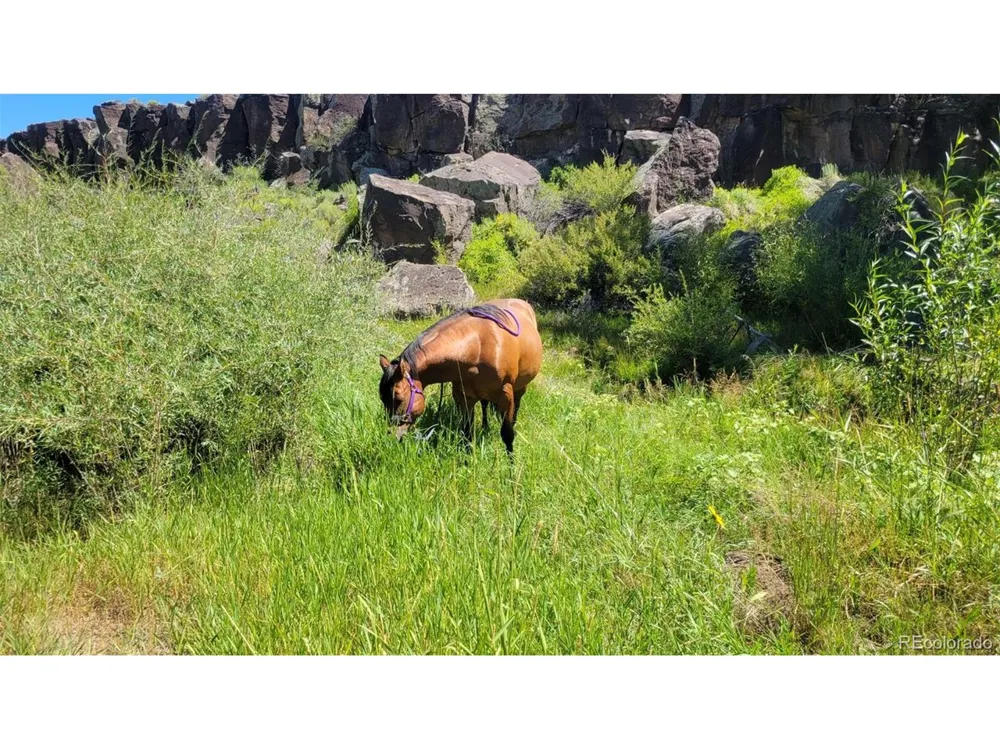 12753 13.5 Antonito, CO 81120
