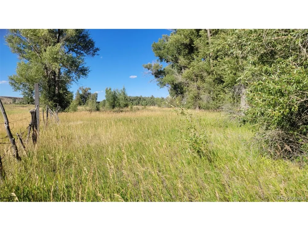 12753 13.5 Antonito, CO 81120