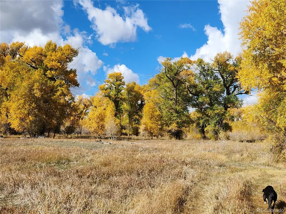 12753 13.5 Antonito, CO 81120