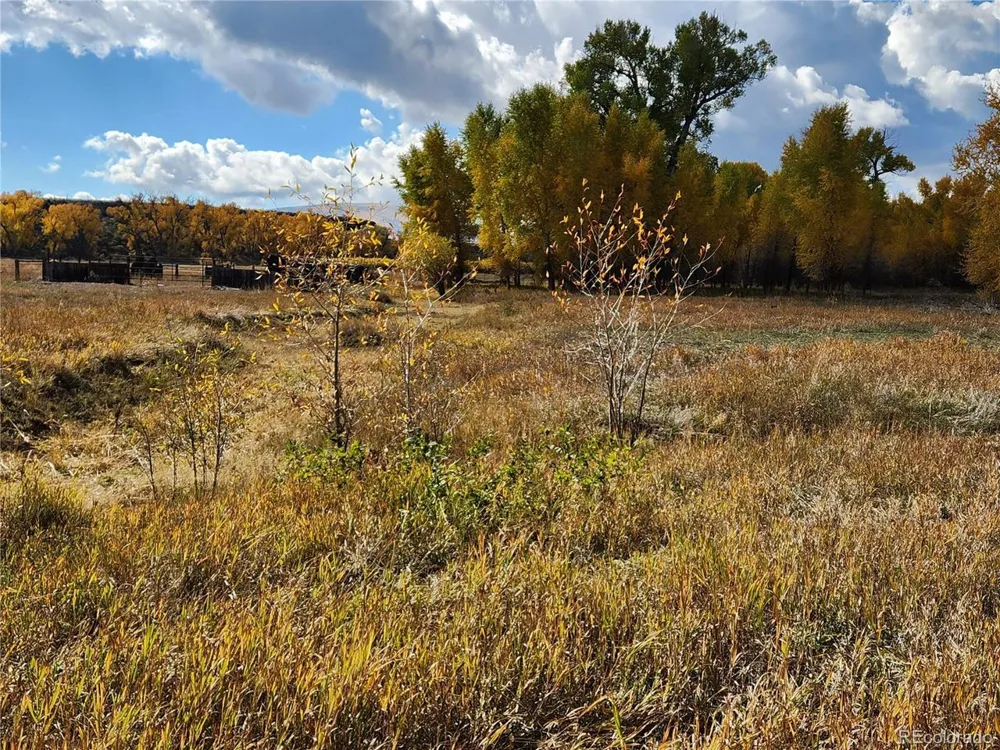 12753 13.5 Antonito, CO 81120