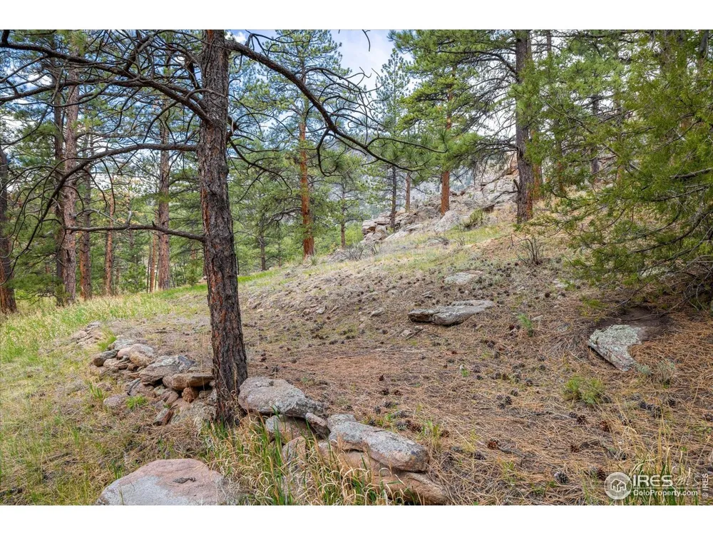 1289 Kiowa Road Lyons, CO 80540