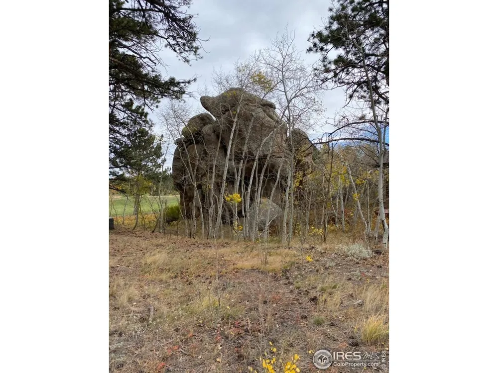 0 Northwoods Drive Red Feather Lakes, CO 80545