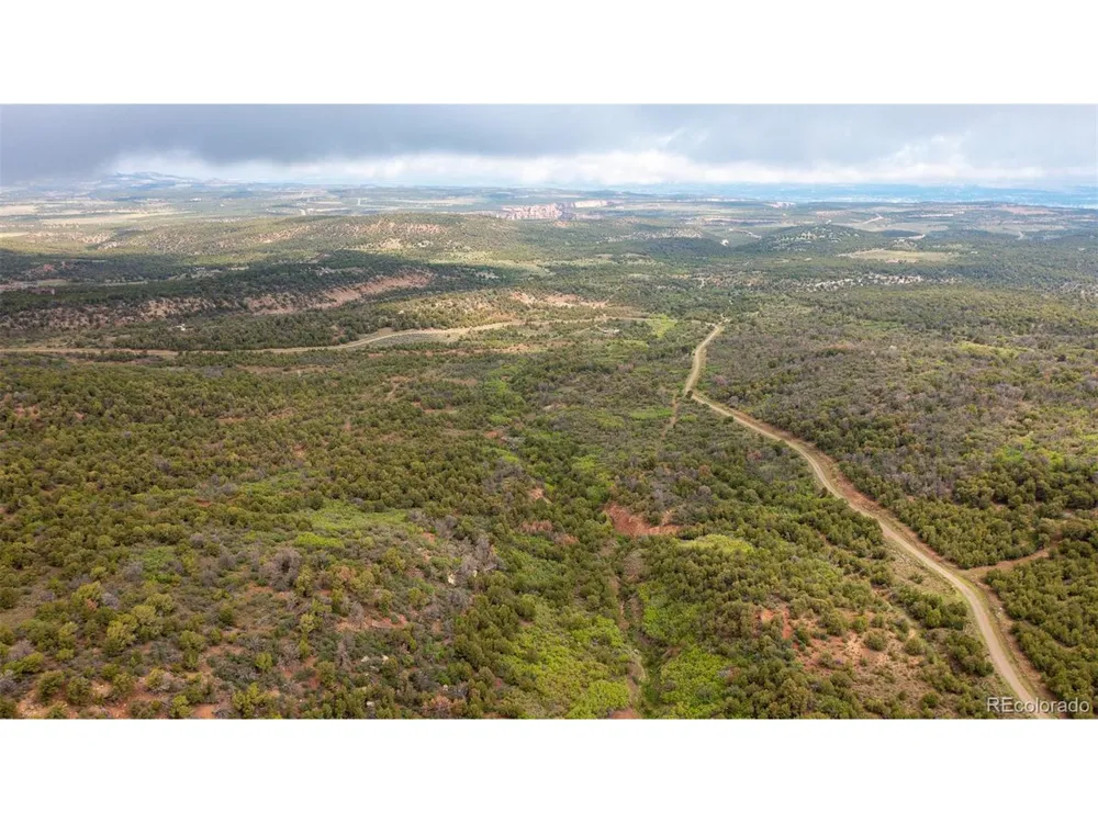18975 Elk Reserve Road Glade Park, CO 81523