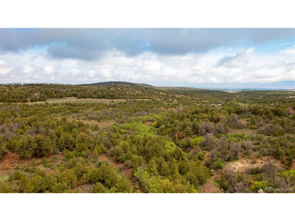 18975 Elk Reserve Road Glade Park, CO 81523