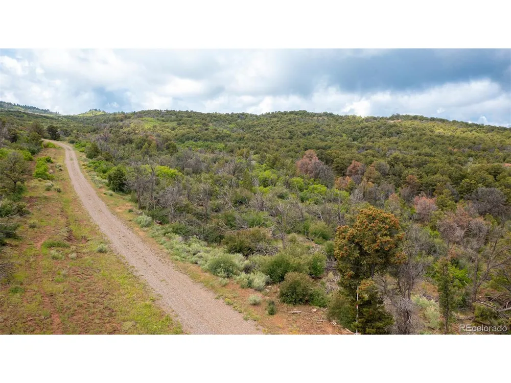 18975 Elk Reserve Road Glade Park, CO 81523