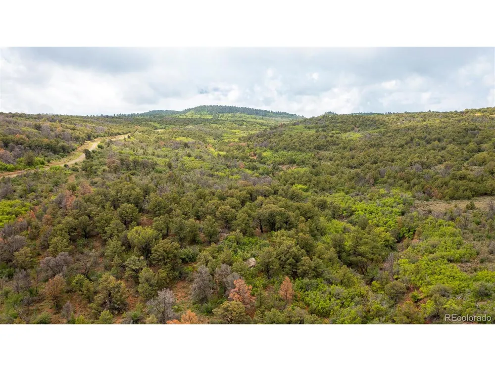 18975 Elk Reserve Road Glade Park, CO 81523