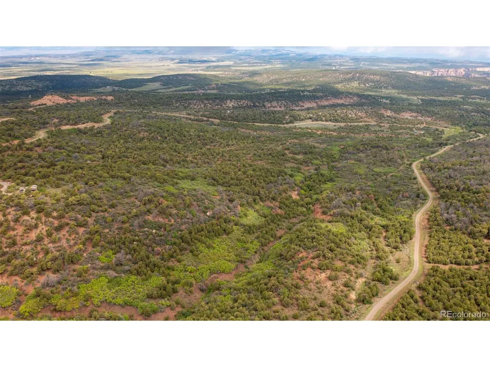 18975 Elk Reserve Road Glade Park, CO 81523