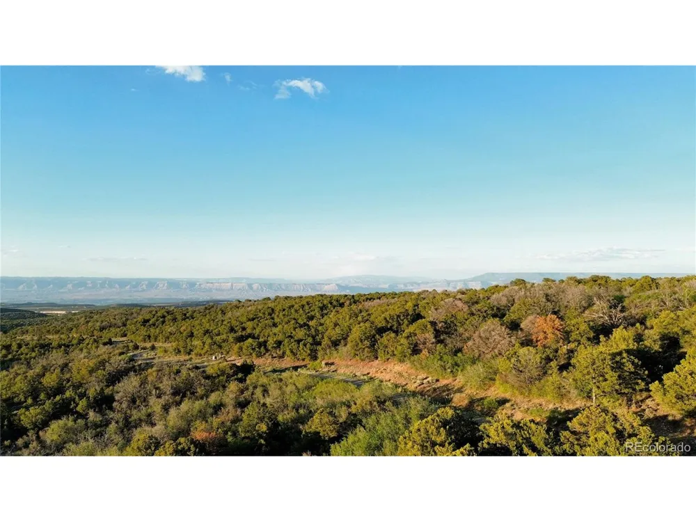 18975 Elk Reserve Road Glade Park, CO 81523