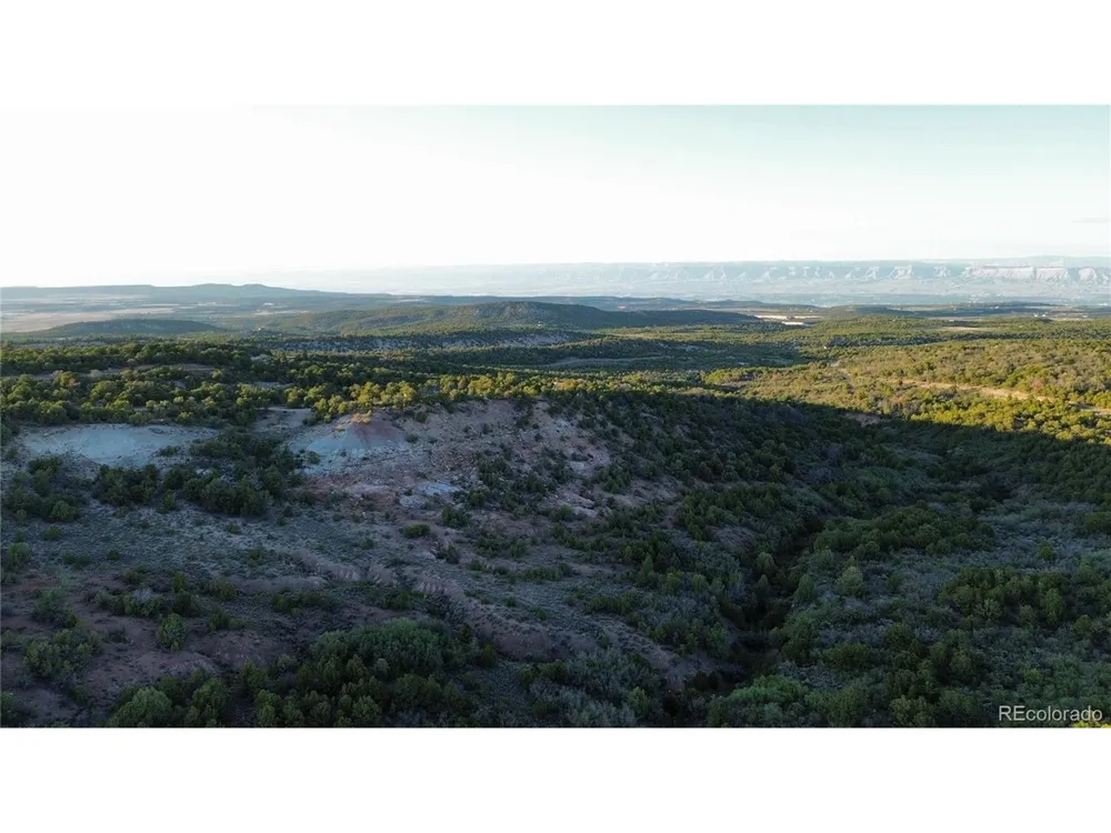 18975 Elk Reserve Road Glade Park, CO 81523