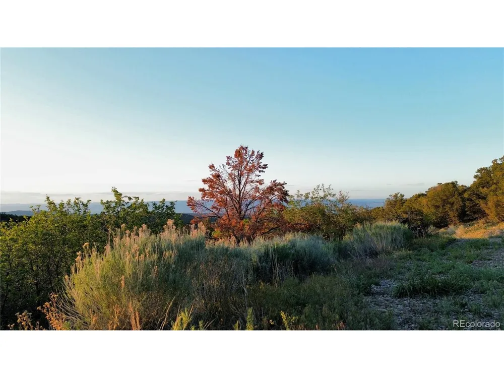 18975 Elk Reserve Road Glade Park, CO 81523
