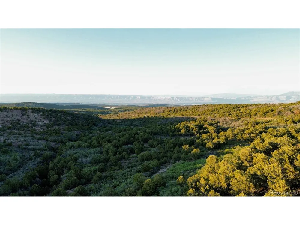 18975 Elk Reserve Road Glade Park, CO 81523