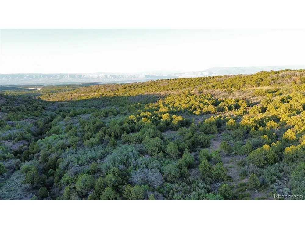 18975 Elk Reserve Road Glade Park, CO 81523