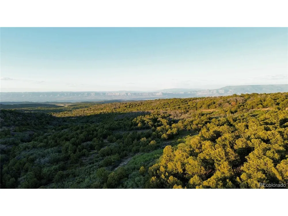 18975 Elk Reserve Road Glade Park, CO 81523