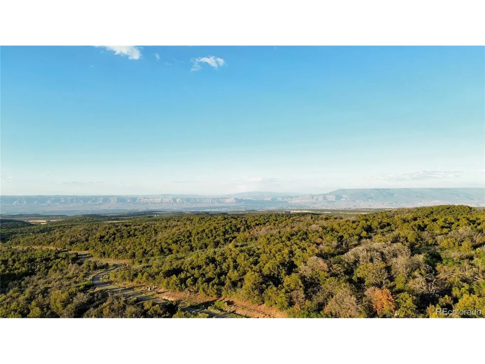 18975 Elk Reserve Road Glade Park, CO 81523