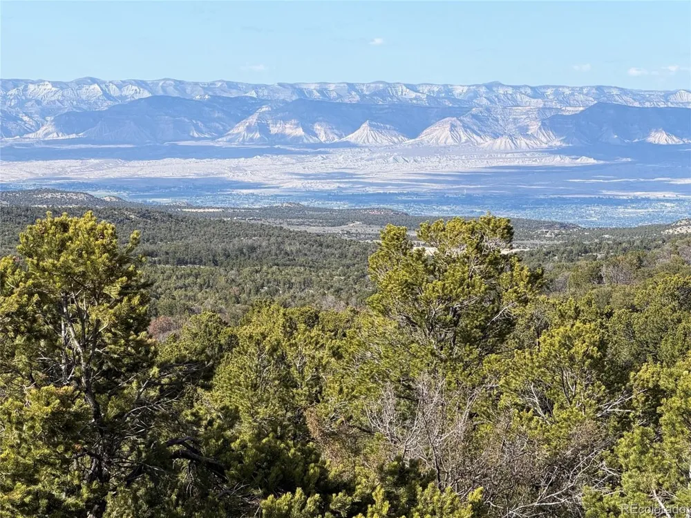 18975 Elk Reserve Road Glade Park, CO 81523