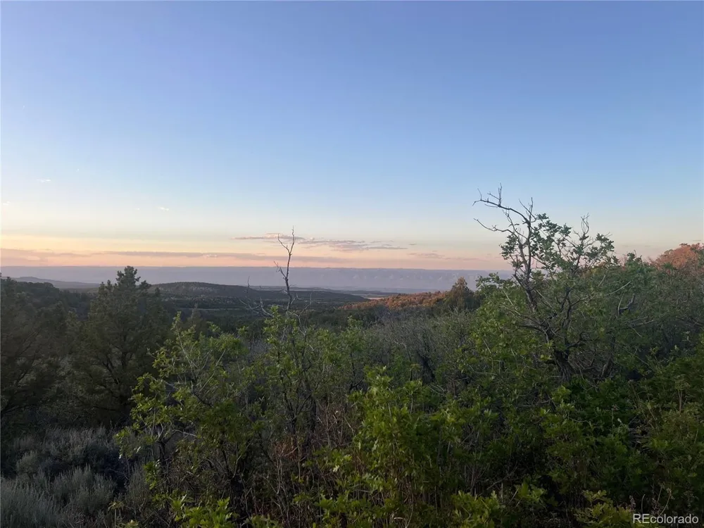 18975 Elk Reserve Road Glade Park, CO 81523