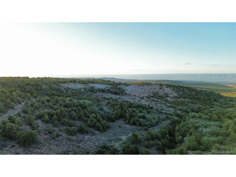 18975 Elk Reserve Road Glade Park, CO 81523