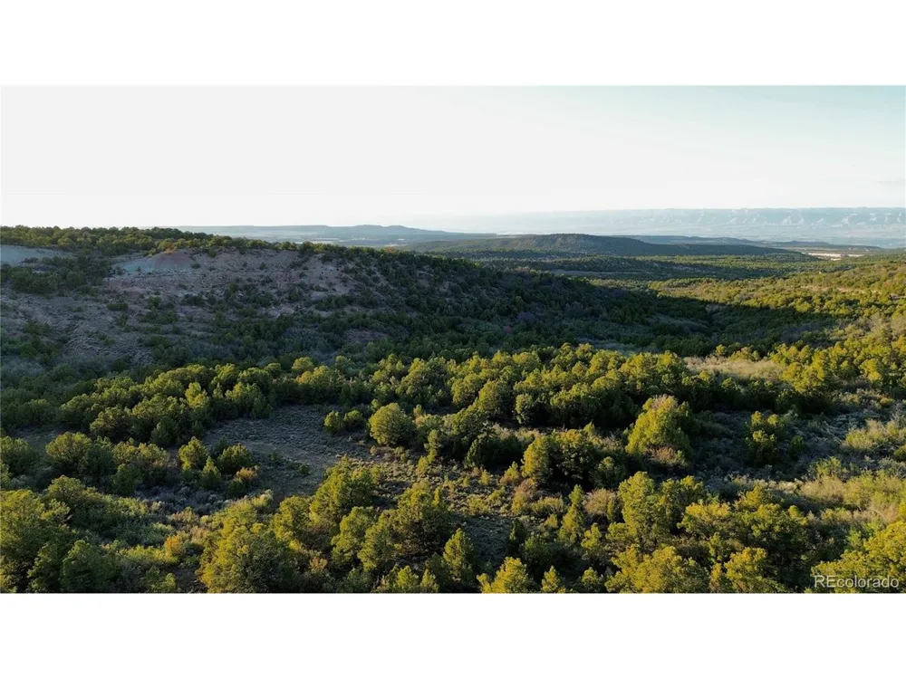 18975 Elk Reserve Road Glade Park, CO 81523